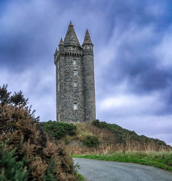 Scrabo Tower by Dianne Warren